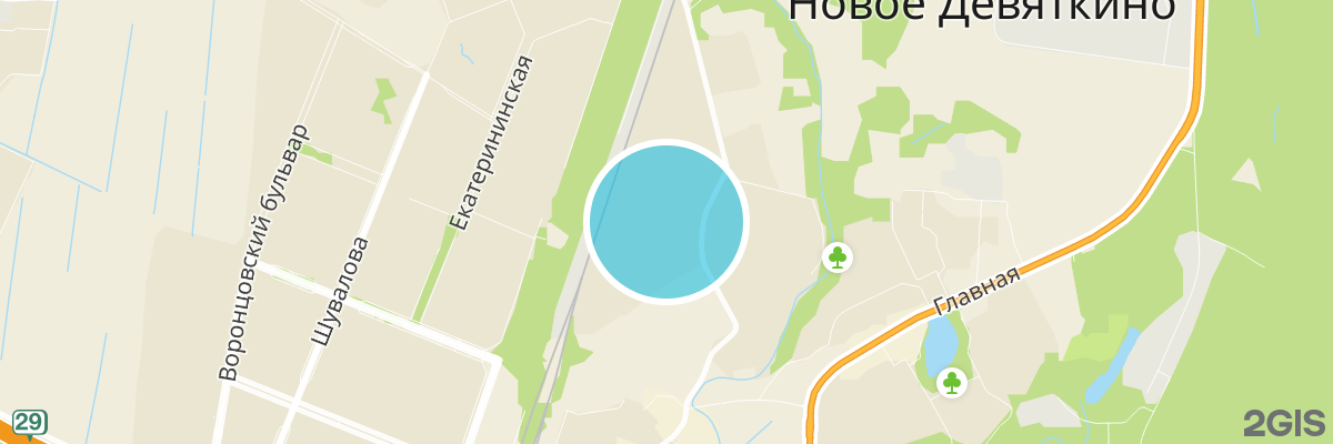 2gis map