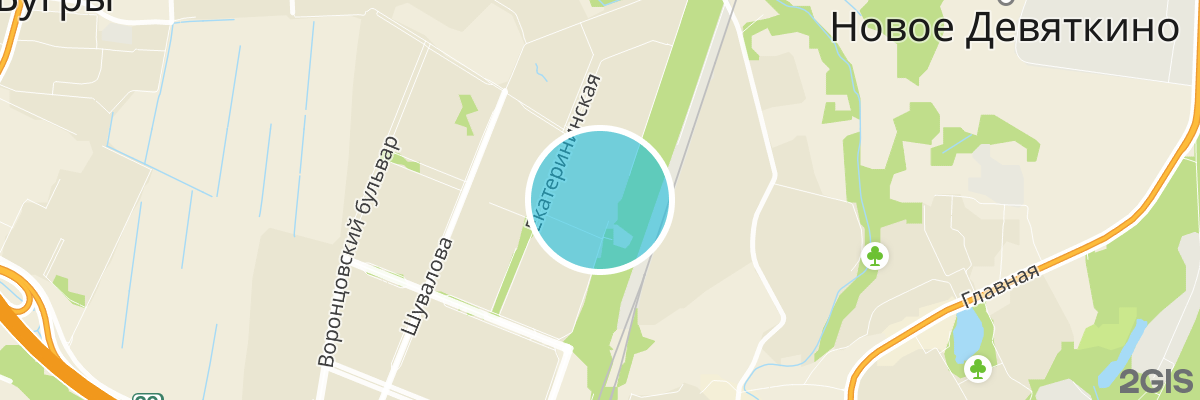2gis map