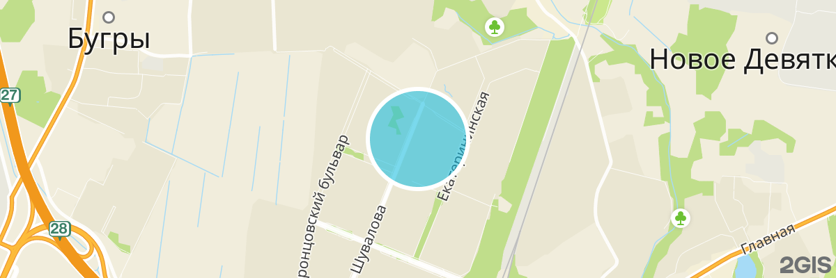 2gis map