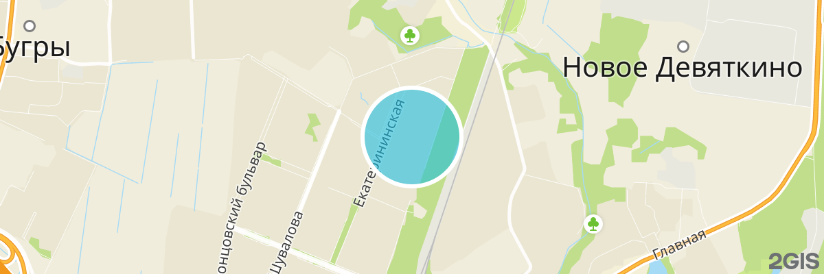 2gis map