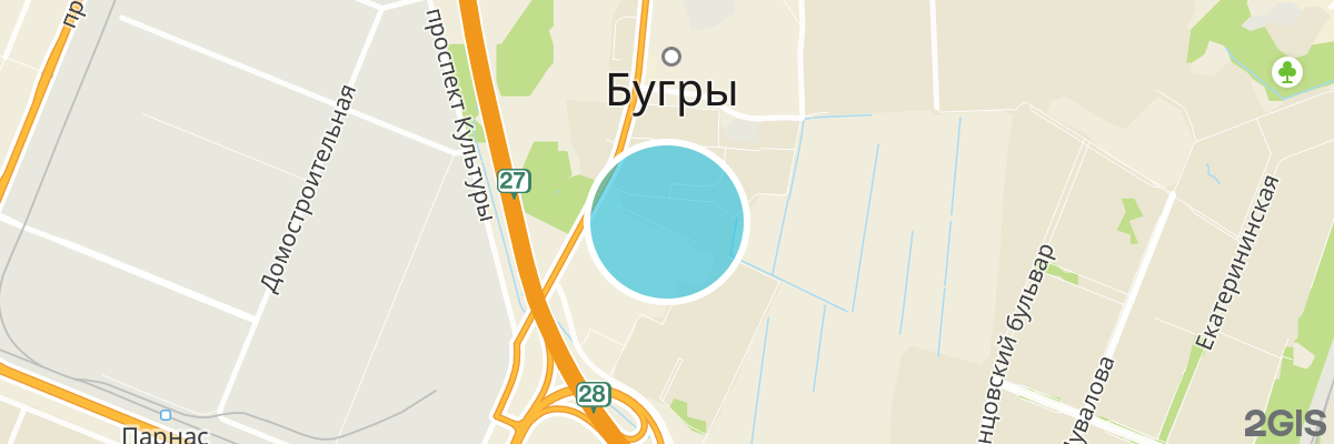 2gis map