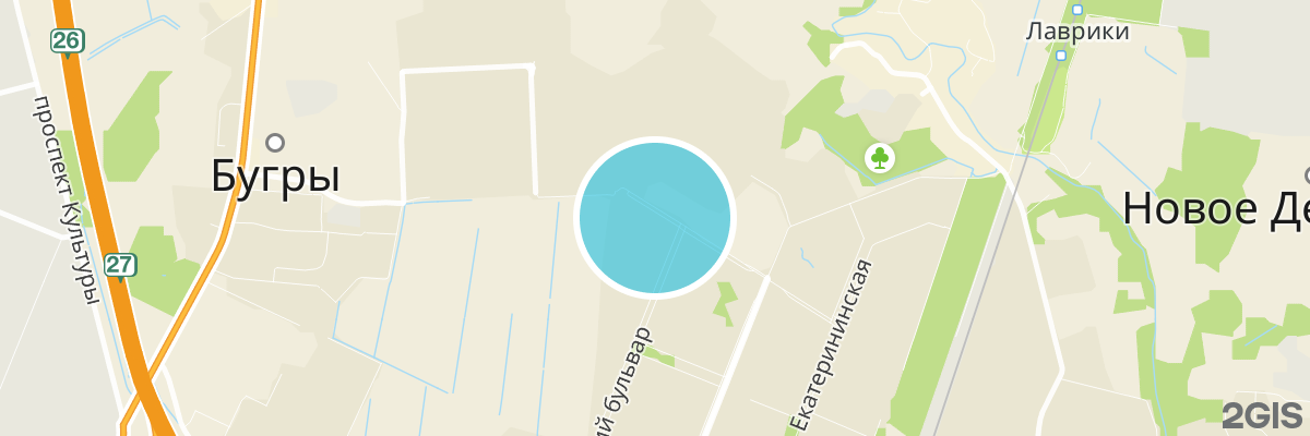 2gis map