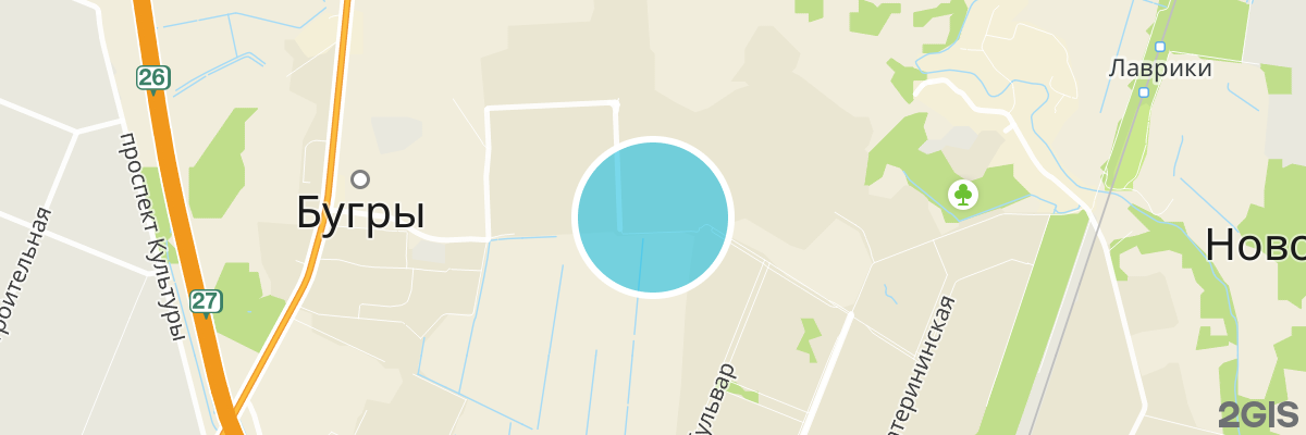 2gis map