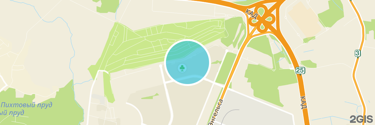 2gis map