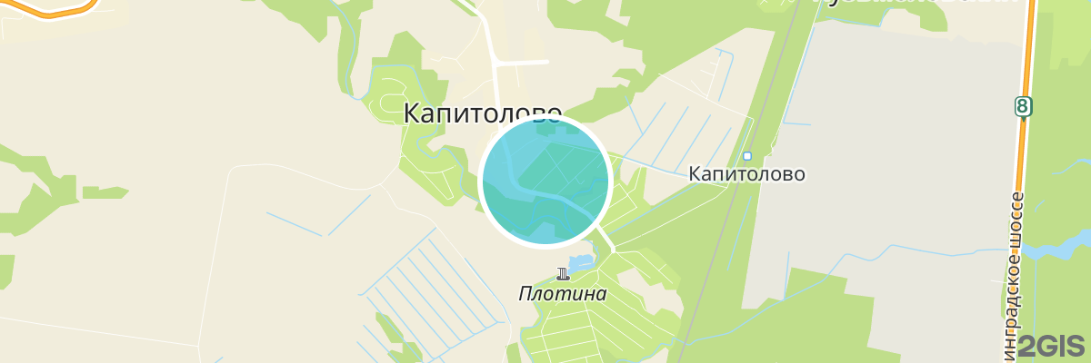 2gis map