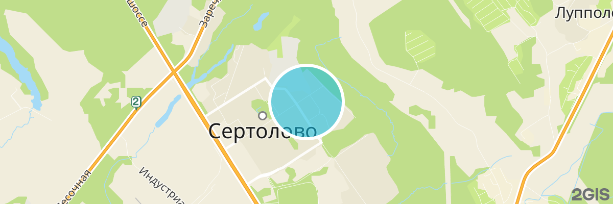 2gis map