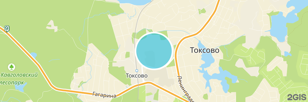 2gis map