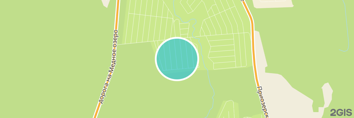 2gis map