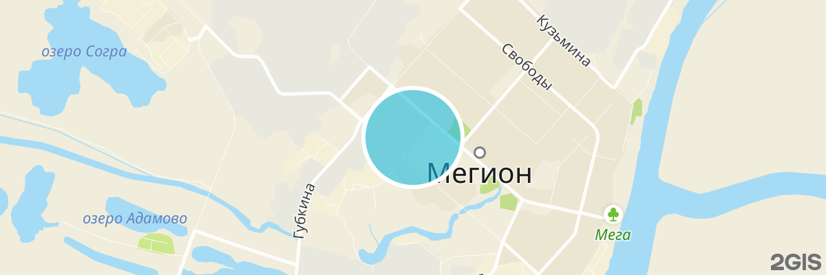2gis map