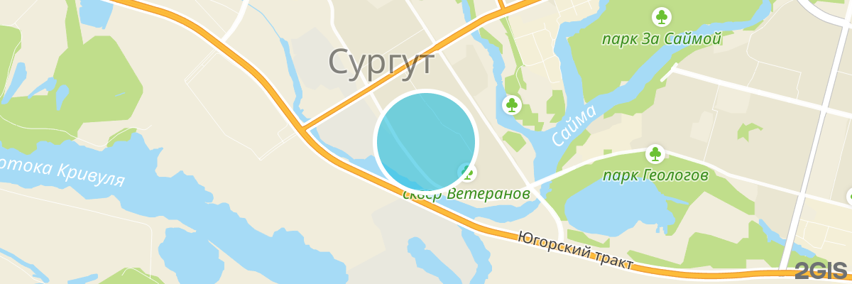 2gis map