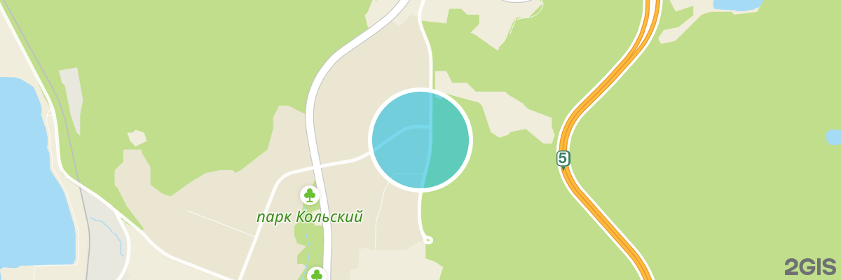 2gis map