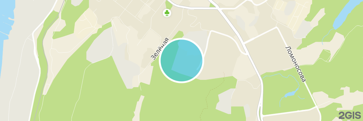 2gis map